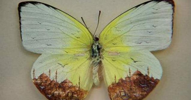 Un oras pe aripile unui fluture si alte picturi in miniatura superbe