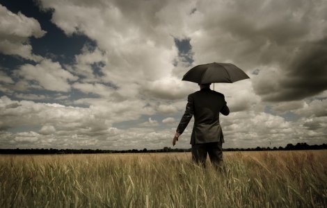 Ce se întâmplă în culisele Up, Up Group: Pregătiri intense pentru provocările viitoare?