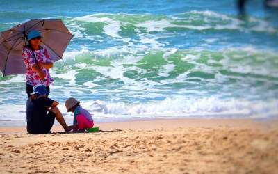 Descoperă cum să obții o...