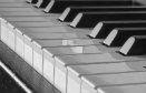 Pianul calator. Concerte la pian in parcurile din Bucuresti