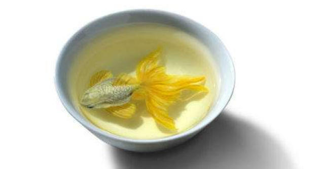 In viata fara sa respire. Animale tridimensionale pictate intr-un castron