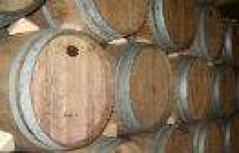 Crama Ceptura isi extinde domeniul cu 180 Ha in zona Dealu Mare