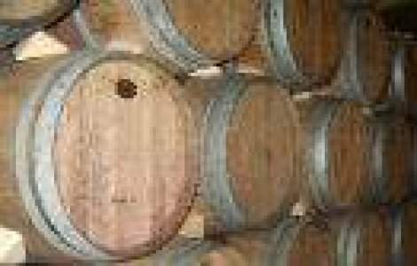 Crama Ceptura isi extinde domeniul cu 180 Ha in zona Dealu Mare