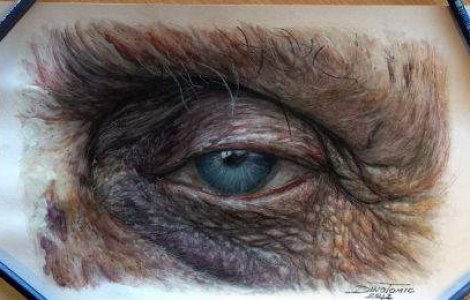 Trebuie sa vezi imaginile de mai jos: 9 portrete perfecte