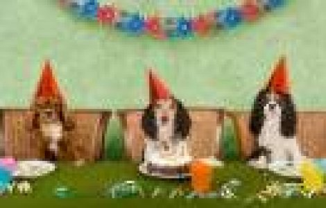  Top  Sa mai si radem putin! TOP 10 cele mai tari parodii