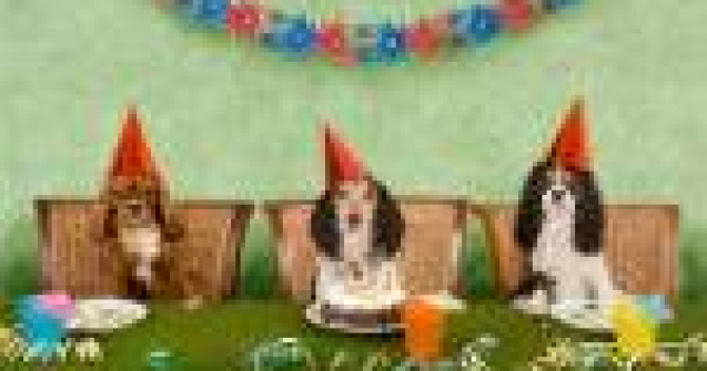  Top  Sa mai si radem putin! TOP 10 cele mai tari parodii