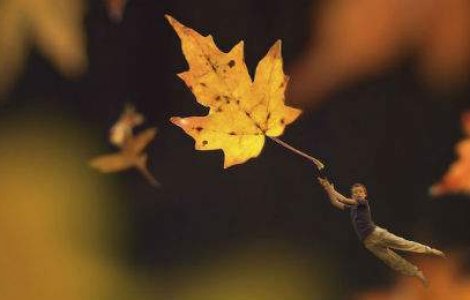 Uimitoarele fotografii ale unui pusti de doar 14 ani