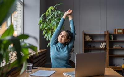 Cum să creezi un mediu de...