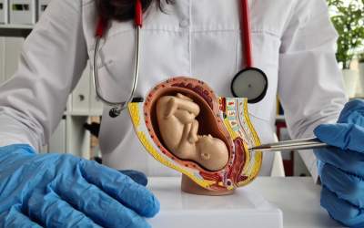 Descoperă adevărul ascuns...