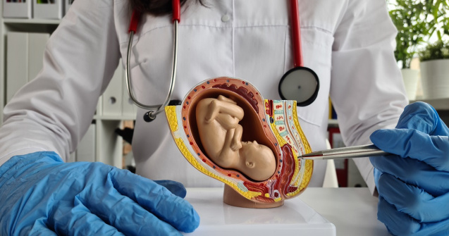 Descoperă adevărul ascuns despre îmbătrânirea placentei