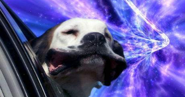 Cu cainele la plimbare prin...spatiu. 10 imagini comice care te vor binedispune