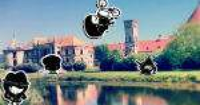 burn anunta cu mandrie: Clujul are festival!!