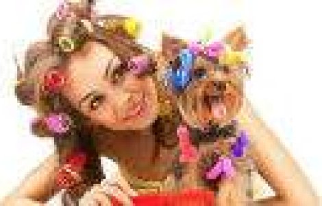 Razi cu lacrimi! Cele mai amuzante perle de la proba de romana BAC 2013