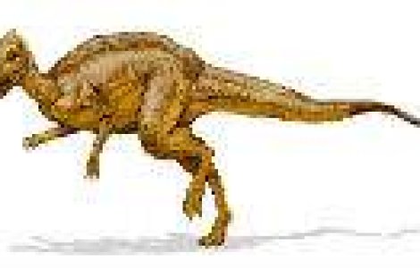 Top 10 dinozauri care au trait pe teritoriul Romaniei