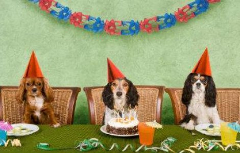 Cele mai proaste idei din istoria umanitatii