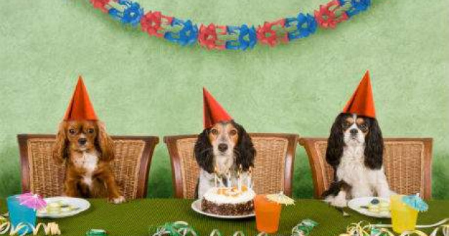 Cele mai proaste idei din istoria umanitatii