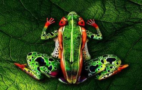 12 iluzii optice care iti vor pune mintea in miscare