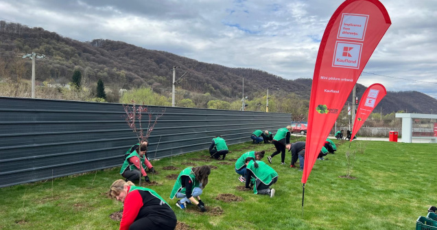 Kaufland transformă orașele în oaze verzi cu metoda Miyawaki