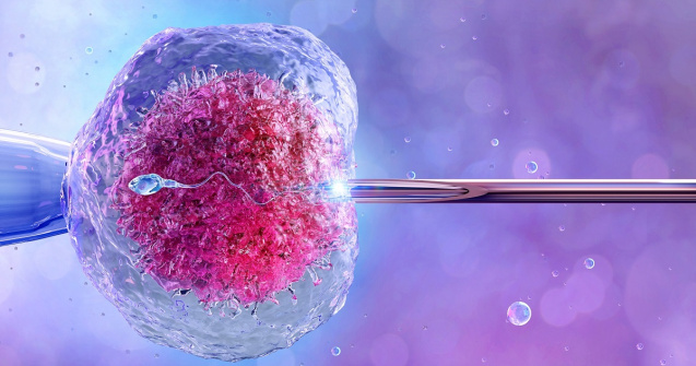 Inseminarea artificială: soluția accesibilă pentru infertilitate inexplicabilă
