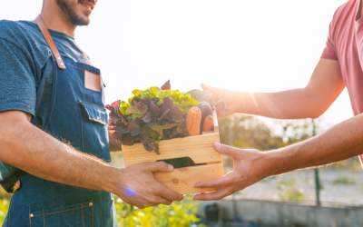 Importanța agriculturii în...