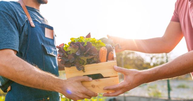 Importanța agriculturii în economia locală