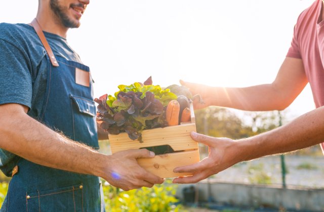 Importanța agriculturii &icirc;n economia locală