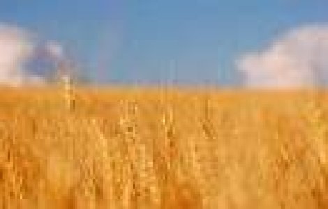 15 replici si scene memorabile din MOROMETII de Marin Preda