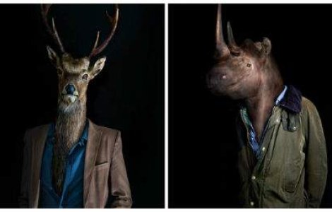 17 animale care se imbraca mai bine decat tine