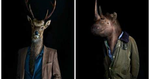 17 animale care se imbraca mai bine decat tine