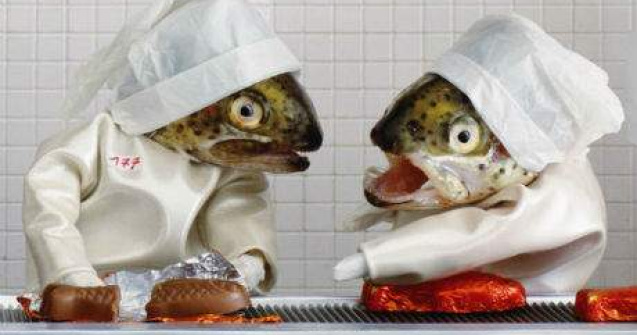 Fiti atenti! Pestii prind viata pe uscat! 20 de imagini