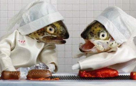 Fiti atenti! Pestii prind viata pe uscat! 20 de imagini