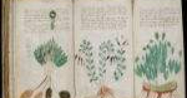 Cartea pe care nu o poate citi nimeni: Manuscrisul Voynich