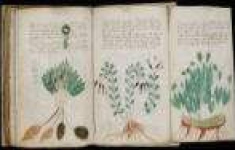 Cartea pe care nu o poate citi nimeni: Manuscrisul Voynich