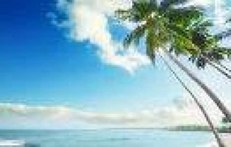 TOP: cele mai scumpe vacante cumparate de romani