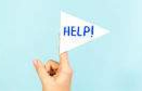 Pe cine ai salva de la moarte: Un turist strain sau catelul tau? - Studiu