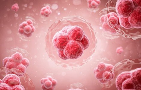 Descoperire uluitoare în medicină: Cum a reușit o fetiță cu paralizie cerebrală să facă progrese remarcabile datorită celulelor stem?