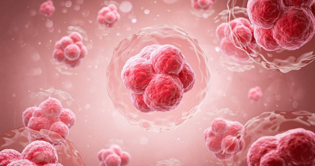 Progrese uimitoare pentru o fetiță cu paralizie cerebrală datorită celulelor stem