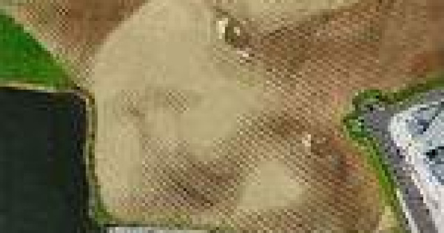 Colosal: o pictura de 4 hectare