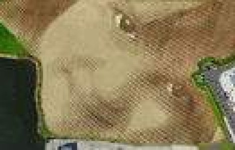 Colosal: o pictura de 4 hectare