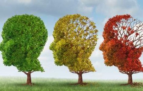 Capcanele mintii. 8 modalitati prin care creierul ne pacaleste