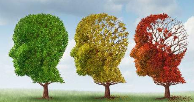 Capcanele mintii. 8 modalitati prin care creierul ne pacaleste