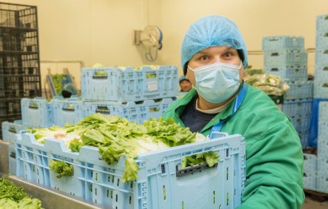 Achiziție surpriză: Cine sunt noii proprietari ai fabricii de salate Eisberg?