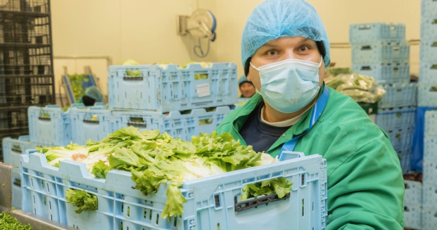 Achiziție surpriză: Cine sunt noii proprietari ai fabricii de salate Eisberg?