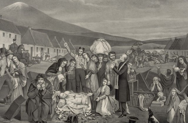 Anii &icirc;n care oamenii au m&acirc;ncat coajă de copac: Adevărul dureros despre Foametea din Rom&acirc;nia (1946&ndash;1947)