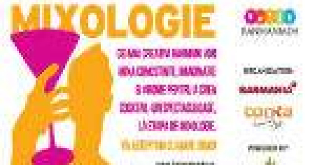 Creativitate si buna dispozitie mixate in cocktail-uri surprinzatoare, la Barmaniada 2013