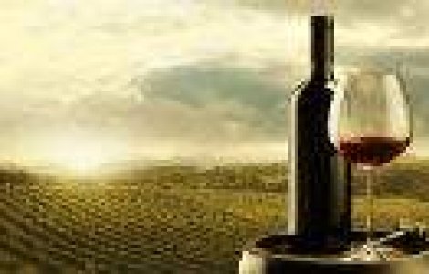 Cele mai bune vinuri romanesti, medaliate la Premiile de Excelenta Vinul.Ro 2013