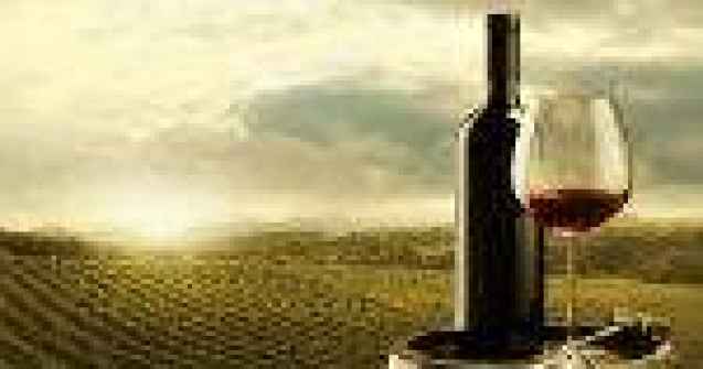 Cele mai bune vinuri romanesti, medaliate la Premiile de Excelenta Vinul.Ro 2013