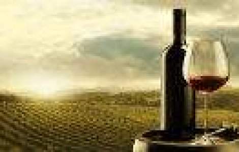 Cele mai bune vinuri romanesti, medaliate la Premiile de Excelenta Vinul.Ro 2013