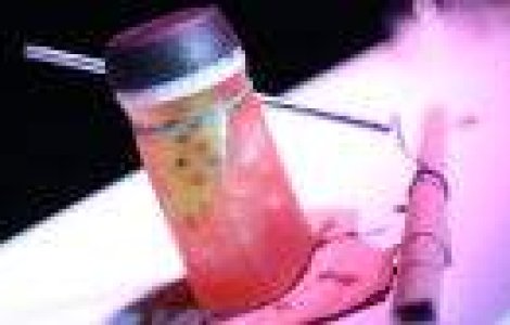 Imaginatie si arome, mixate in cocktail-uri castigatoare, la Barmaniada 2013