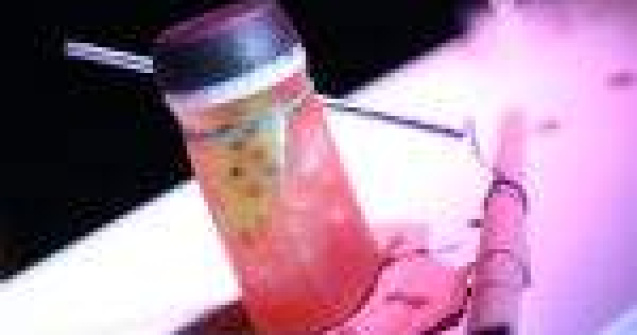 Imaginatie si arome, mixate in cocktail-uri castigatoare, la Barmaniada 2013